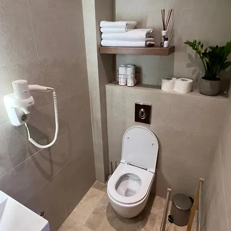 Διαμέρισμα Rose Downtown