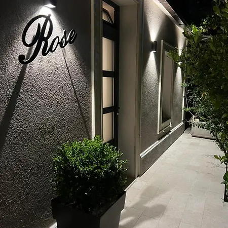 Rose Downtown