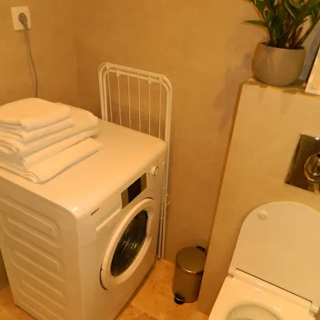 Rose Downtown Apartment *