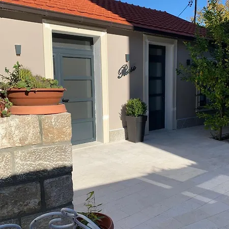 Apartamento Rose Downtown *