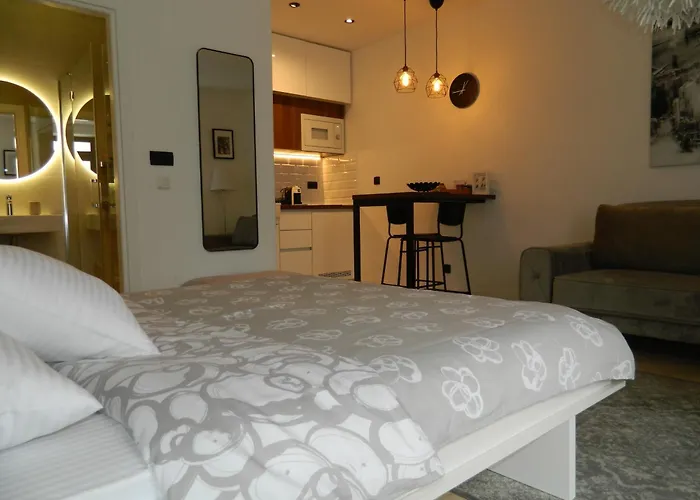 Rose Downtown Apartment