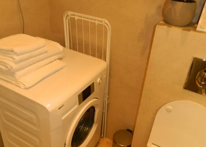 Rose Downtown Apartment *