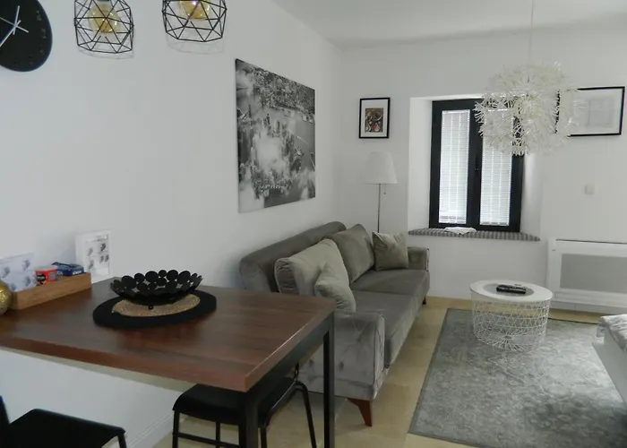 Rose Downtown Apartment *