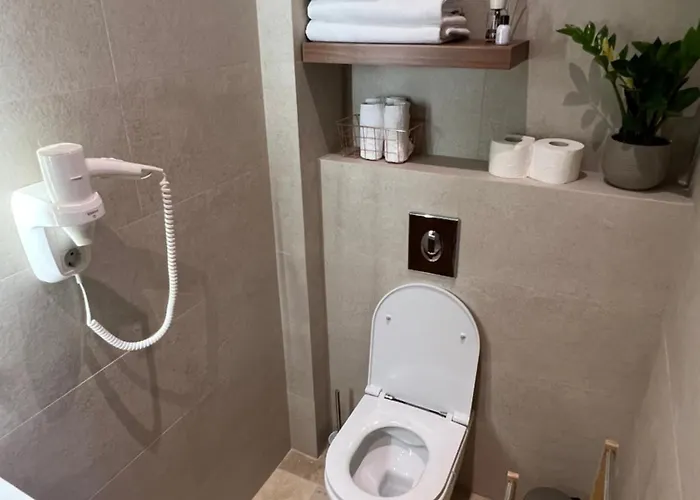 Apartament Rose Downtown